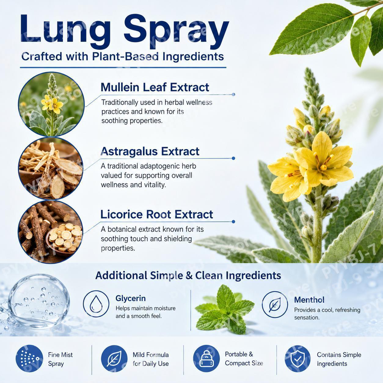 Spray Respiratoire Fraîcheur H - Herbal And Wellness avis et prix